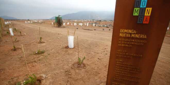 SONAMI calificó como “decepcionante” decisión del comité de ministros