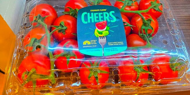 Explorando el Futuro de la Horticultura Sostenible Delegación de la región de Coquimbo en México