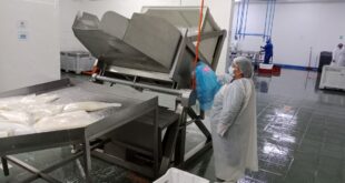 Con Fuerte Presencia Femenina, pesquera Sea Star es un referente de inversión y exportaciones en Coquimbo