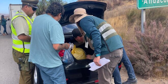 SAG realiza controles carreteros por campaña de mosca de la fruta y refuerza el llamado a no trasladar fruta