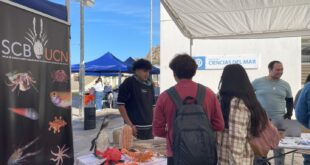 Novena Feria del Mar UCN destaca investigación y emprendimiento