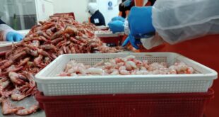 Rymar Empresa industrial pesquera que apuesta por la sostenibilidad y la innovación