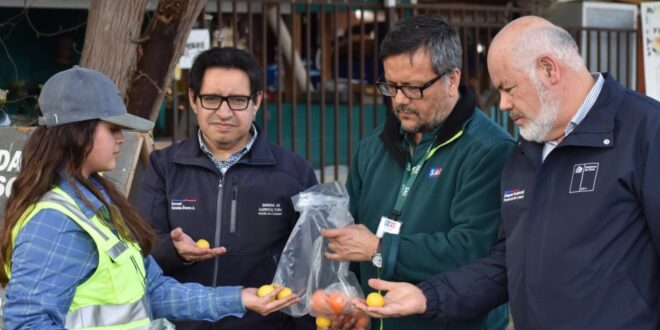 Interceptan más de 100 kilos en control carretero para frenar traslado de fruta por campaña contra Mosca de la Fruta en Monte Patria