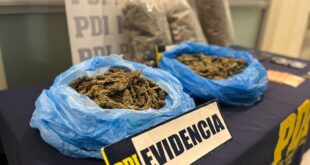PDI detiene a 3 imputados por contrabando de aves exóticas y con más de 6 kilos de drogas en Andacollo