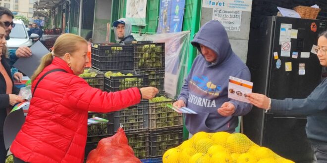 Acción conjunta para proteger la fruticultura SAN A.G y SAG difunden medidas preventivas en La Serena