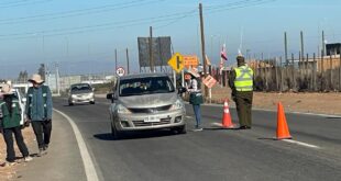 Más de tres toneladas de fruta ha interceptado el SAG en controles carreteros por mosca de la fruta en Limarí