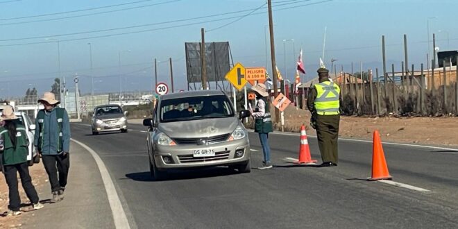Más de tres toneladas de fruta ha interceptado el SAG en controles carreteros por mosca de la fruta en Limarí