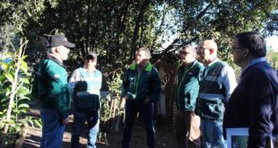 SAG refuerza control carretero de Monte Patria con brigadas caninas