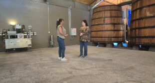 Cooperativa Control Pisquero será sede de la Copa Pisco Chile en el Panamericano de Bartenders