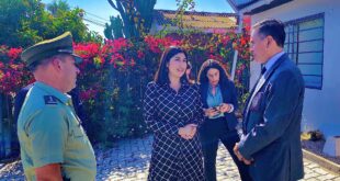 Informe femicidios 2024 revela avances en identificación y calificación de los delitos en Chile