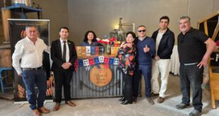 Pisco Chileno Cautiva a Bartenders Internacionales en Histórica Copa en Ovalle