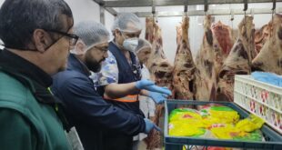 Realizan fiscalización conjunta a Ley de Carnes para garantizar su consumo en Fiestas Patrias de forma segura