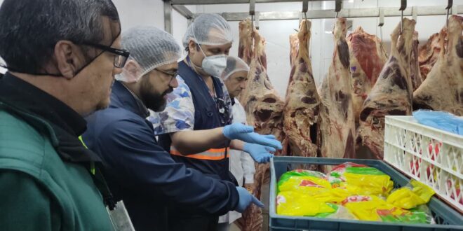 Realizan fiscalización conjunta a Ley de Carnes para garantizar su consumo en Fiestas Patrias de forma segura