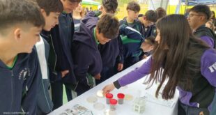 Éxito Rotundo en La Serena: Estudiantes Demuestran Innovación y Talento en la 1ra Feria Interescolar de Ciencia y Tecnología “Expo-Genios 2025”