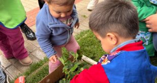 Avanza la asistencia en Educación Parvularia: Coquimbo llega a 77,4%