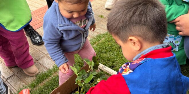 Avanza la asistencia en Educación Parvularia: Coquimbo llega a 77,4%