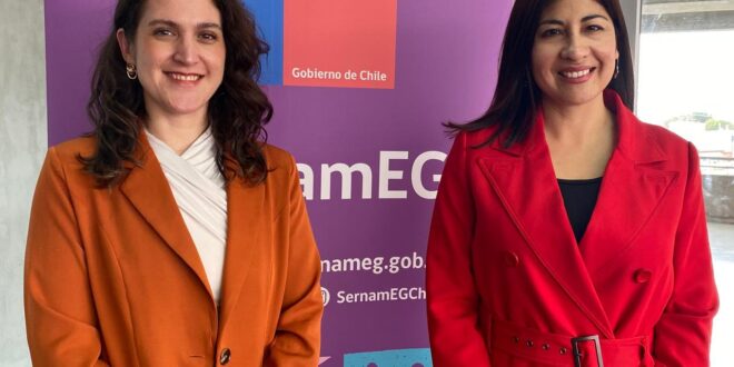 SernamEG potencia habilidades de profesionales para enfrentar la violencia de género en la Región de Coquimbo