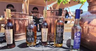 Cielos, Copas y Cultura Vicuña y Paihuano Despliegan su Oferta de Clase Mundial para el Verano 2025