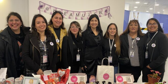 Trabajo, redes y oportunidades abren postulaciones para mujeres jefas de hogar en la Región de Coquimbo