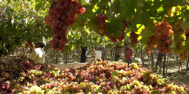 Un Brindis por el futuro: La fórmula de Capel para reescribir la tradición durante 88 años