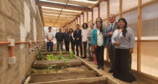 Alumnos del Francis School de Coquimbo desarrollan sistema de riego eficiente y monitoreo inteligente con fondo concursable de Aguas del Valle
