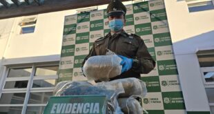Despliegue carretero en Choapa OS7 incauta más de 200 kilos de droga y logra seis detenidos
