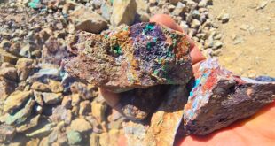 Latam Investment Group se asocia con mineros de Punitaqui para desarrollar concentrado de oro en Chile