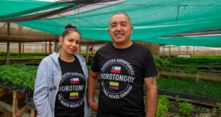 Región de Coquimbo consolida un modelo agrícola resiliente la hidroponía como respuesta a la escasez hídrica