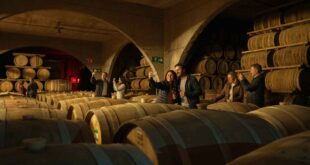 Centro Turístico CAPEL en Vicuña supera los 30 mil visitantes en la última temporada