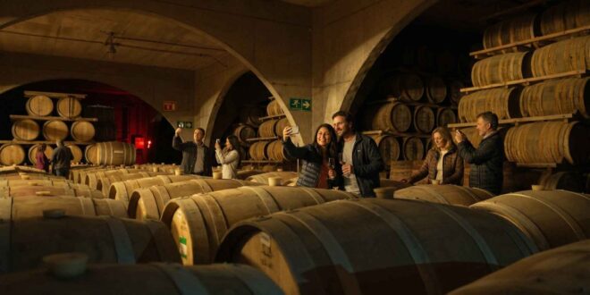 Centro Turístico CAPEL en Vicuña supera los 30 mil visitantes en la última temporada