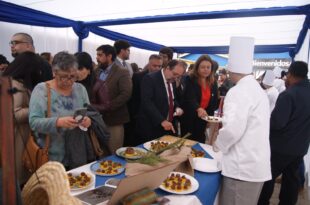 Región de Coquimbo celebra su identidad culinaria en el Día Nacional de la Cocina Chilena
